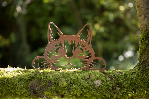 Peeking cat metal fence - peeking,